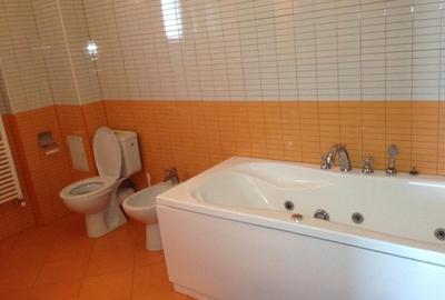 Apartament 3 camere spatios Otopeni Bridge - 18
