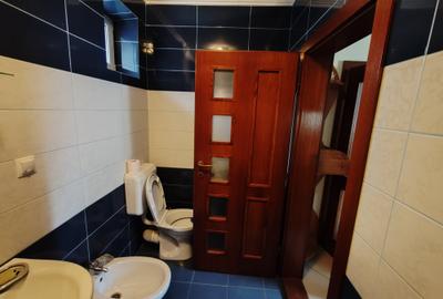 Casa 5 camere libera la vanzare SACELE - ELECTOPRECIZIA - 19