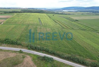 Teren de 3.600 mp Racova - 7