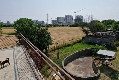 Mehala P-ta Mehala P-ta - 2