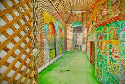 Casa 15 camere de vanzare zona Universitate + spatiu comercial parter - 9