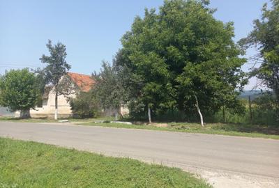 Casă cu 3 camere cu Teren 3956 Mp în Chelmac - 1