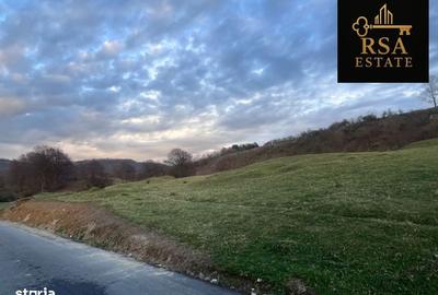 Teren de 2200 mp, în Goranu - 3