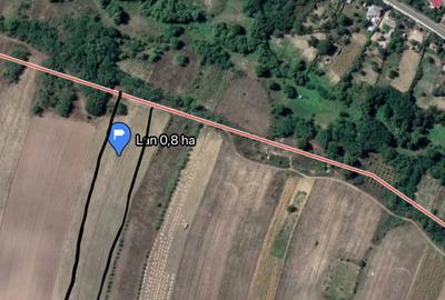 Teren de 30000 mp, în Slobozia (Schitu Duca) - 2