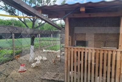 Casă cu 4 camere cu Teren 1800 Mp în Central - 14