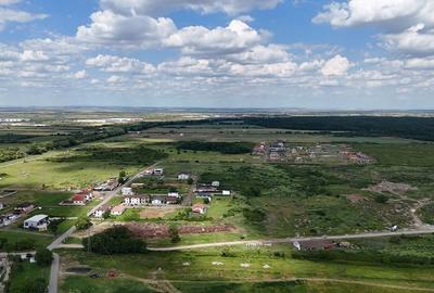 TERENURI PADUREA BISTRA - 12