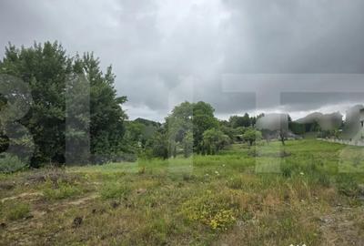 Teren de 858 mp, în Făget - 3