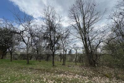 Vand casa cu 1 ha de livada in Carmazanesti - 1