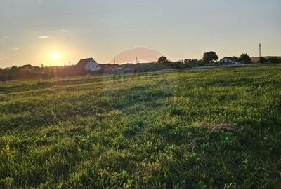 Teren Construcții intravilan de 1495 mp, în Dobreni - 25