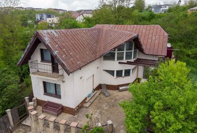 Spațiu comercial, de 190 mp, în Valea Lupului - 1