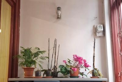 Casă cu 10 camere cu Teren 400 Mp în Armeneasca - 4