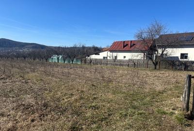 Teren agricol intravilan de 2581 mp, în Albeștii de Argeș - 4