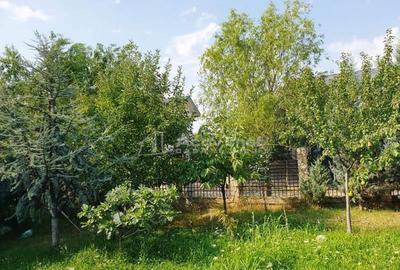 Teren Bragadiru- Leroy Merlin - 561mp - 69900E - Comision - 6