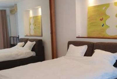 Apartament 2 camere Lux langa Parcul Herastrau si metrou Aurel Vlaicu - 8