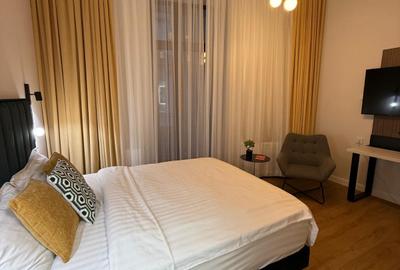Apartament in vila pretabil AirBnb - 9