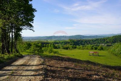 Teren Construcții intravilan de 15000 mp, în Sud-Vest - 4