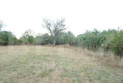 Teren intravilat 1777 mp, front 16 m, zona centru Aricestii - 3