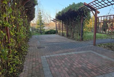 Berceni-Vila de arhitect, P+1+M, gradina 1200mp, - 5