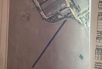 Teren de 24750 mp, în Berceni - 3