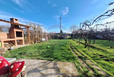 Duplex integral renovat, 3 camere , 2 bai, garaj, 403 mp teren - 8