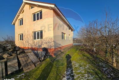 Casă cu 4 camere în Ișalnița - 17