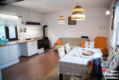 Casă individuală cu 4 camere cu Teren 4774 Mp în Tiocu de Jos - 8