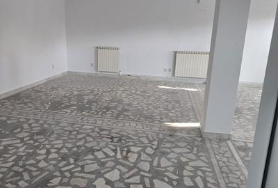 Spațiu comercial, de 100 mp, în Lizeanu - 3