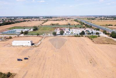 Teren Construcții intravilan de 1000 mp, în Sud - 17