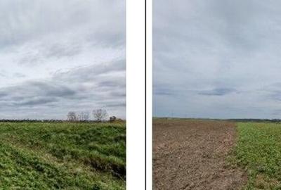 Teren de 20000 mp, în Andrieșeni - 2