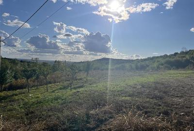 RECO Teren 4300 mp Podgoria-Oradea la 10 minute de centru - 2