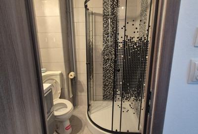 Apartament cu 3 camere de vânzare - Str. Fântânica, București - 8