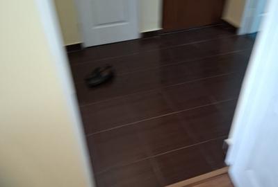Apartament cu 2 camere decomandat în Giurgiului