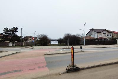 Vânzare teren 6000 mp în orașul Măgurele - 1