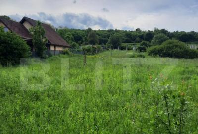 Teren de 1800 mp, în Ciurila