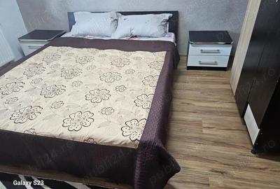Inchiriere apartament 2 camere Zona Apa Serv - 9
