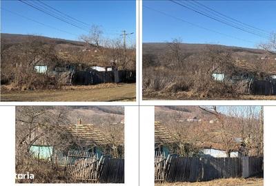 Casă cu 2 camere în Patricheni - 3