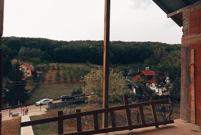 Proprietate Bascov , ''La rosu'' , zona DEOSEBITA !!! - 11