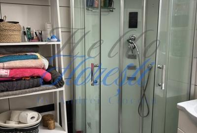 Apartament 2 camere, 52 mp , Zona Porii , Floresti - 11
