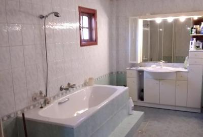 Casă cu 7 camere cu Teren 5000 Mp în Provița de Jos - 2