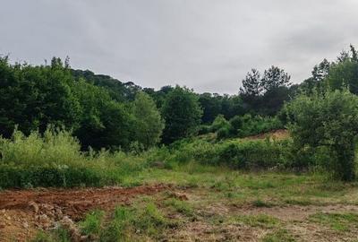 Teren de 900 mp, în Tăuții-Măgherăuș - 1