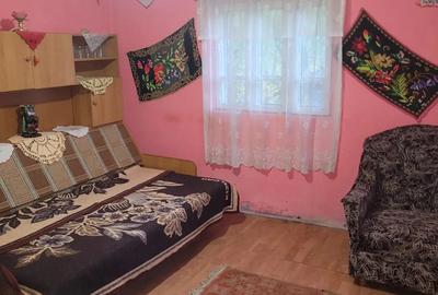 Casă cu 6 camere în Bârseștii de Sus - 10