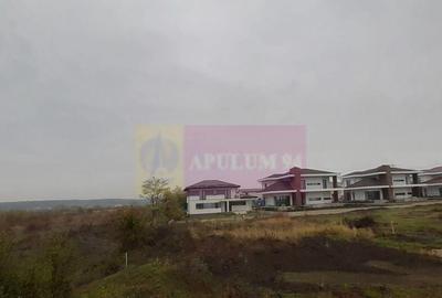 Teren de 5000 mp, în Corbeanca