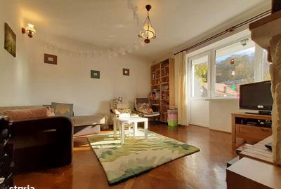 Apartament cu 2 camere decomandat, mobilat în Centrul Istoric - 11