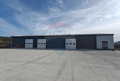 Hala noua 555mp, curte betonata 1000mp, zona de est, de inchiriat - 3