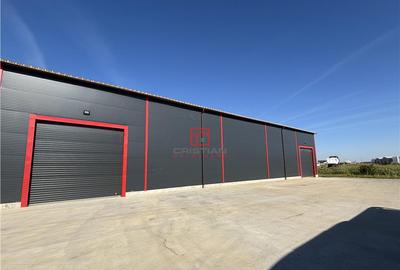 Depozit/hala/spatiu industrial Theodor Pallady - Gara Catel - 6