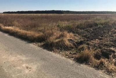 Teren de 7500 mp, în Buturugeni - 2