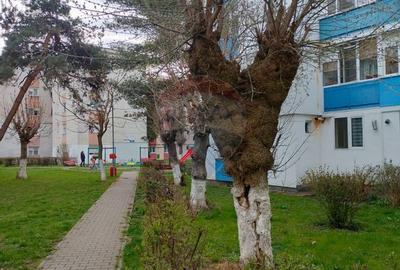 Apartament cu 3 camere decomandat în Central - 10