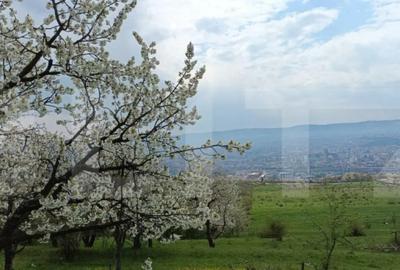 Teren de 8310 mp, în Dâmbul Rotund - 2