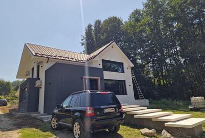 Casă cu 6 camere cu Teren 1400 Mp în Calea Caransebeșului - 21