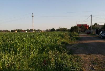 Teren de 2500 mp, în Mărăcineni - 1